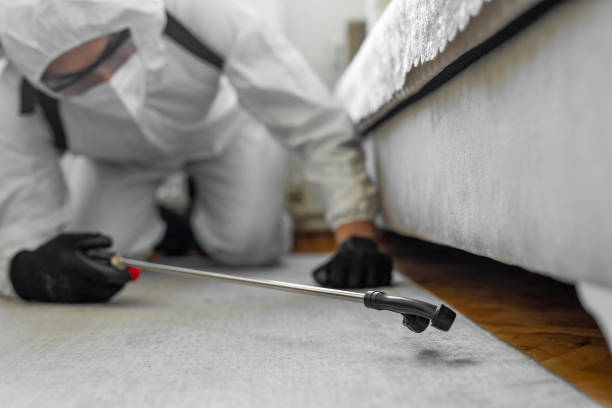 Professional Bed Bug Control technician working in Mercer County County, IL